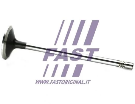 Įvado vožtuvas FAST FT50133