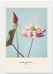Foto paveikslas Wallity, 55 cm x 75 cm, 1 vnt. kaina