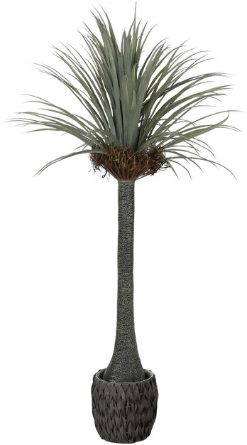 Dirbtinis augalas Juka, 180 cm