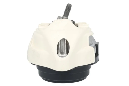 Variklio montavimas TEDGUM TED55453