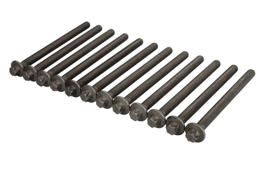 ELRING EL751970 Cylinder head bolt set