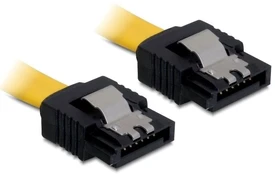 DELOCK Cable SATA 30cm straight/straight | 82473 kaina
