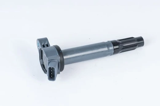 Ritė, uždegimas BorgWarner (BERU) ZSE202