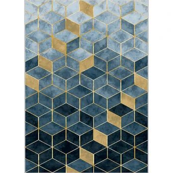 Asir kilimas Exfab215 100x200 cm