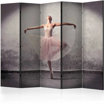Artgeist Pertvara - Classical dance - poetry without words II [Room Dividers]