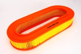 Oro filtras FILTRON AE297 kaina