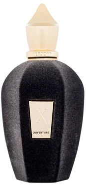 Xerjoff Ouverture EDP 100 ml