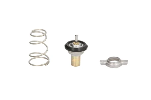 termostatas, aušinimo skystis THERMOTEC D2F002TT