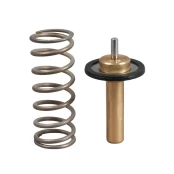 Termostatas, aušinimo skystis GATES TH51690G1 kaina