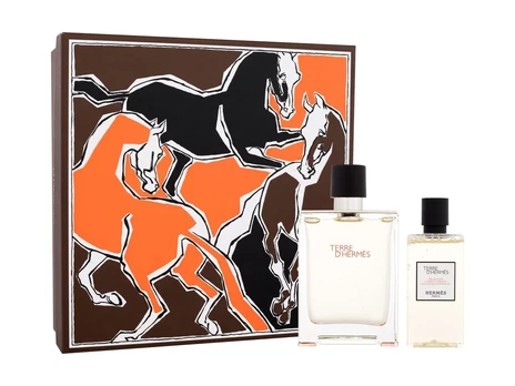 „Hermes Terre d’Hermes“ tualetinis vanduo, 100 ml