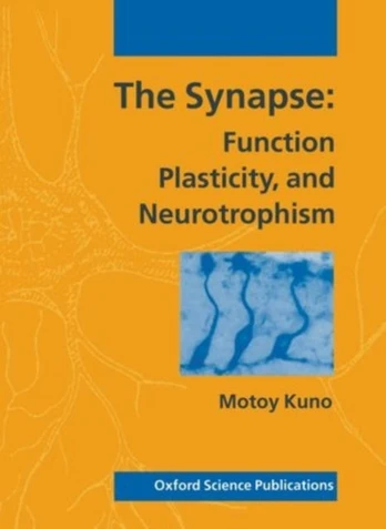 Synapse