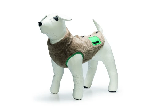 Striukė šunims Beeztees TEDDY, ruda, 28 cm