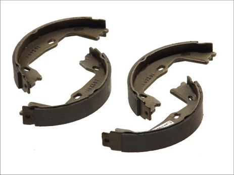 DELPHI LS1381 Brake shoe set