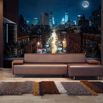 Artgeist Fototapetas - Sleepy New York