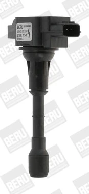 Ritė, uždegimas BorgWarner (BERU) ZSE158