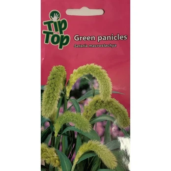 TIP TOP Šerytė stambiavarpė Green panicles 0.2g