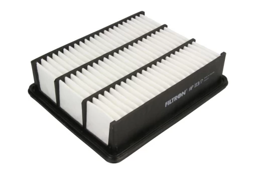 Oro filtras FILTRON AP113/7