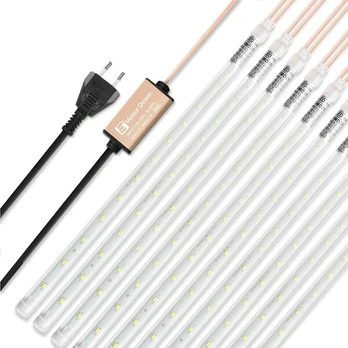 LED lempos Aneeway, 10 vnt.
