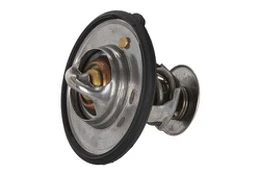 Termostatas, aušinimo skystis CONTINENTAL 28020041682