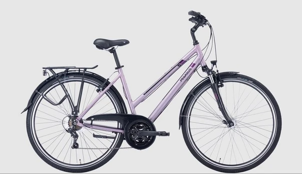 Dviratis 28 Pegasus Piazza 21g, violetinis, 45