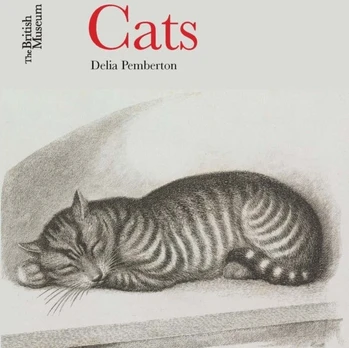 KNYGA Delia Pemberton Katės