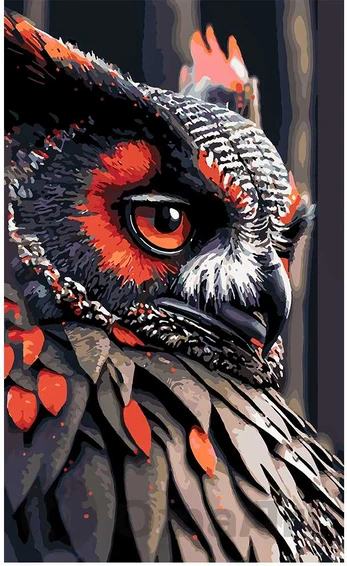 Omaart Owl 50x30