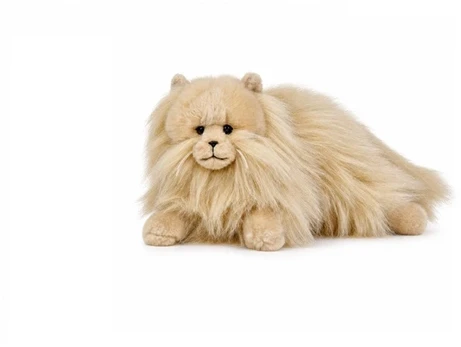 Beppe Kot perski karmelowy 35cm 14290 25081