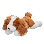 Plush toy dog Cavalier 35 cm kaina