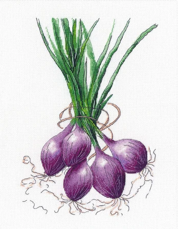 Onion S1476