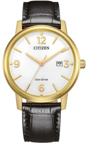 Laikrodis Citizen Eco-Drive BM6756-01A kaina