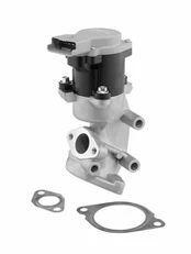 ERG vožtuvas BorgWarner (Wahler) 710984D
