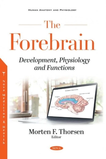 Forebrain