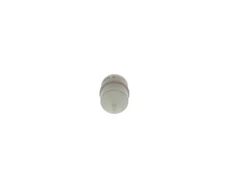 Kuro filtras BOSCH 0 450 904 162
