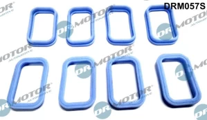 Tarpiklių rinkinys, įsiurbimo kolektorius Dr.Motor Automotive DRM057S kaina