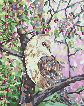 Paint by numbers kit Owl. After Kate Shi 40x50 cm W007