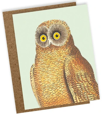 30x40 60Mini atvirukas Mellow Owl (9.5x12.2)