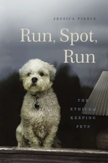 Run, Spot, Run