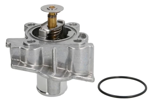termostatas, aušinimo skystis THERMOTEC D2F011TT