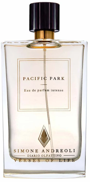 Kvapusis vanduo Simone Andreoli Pacific Park, 100 ml