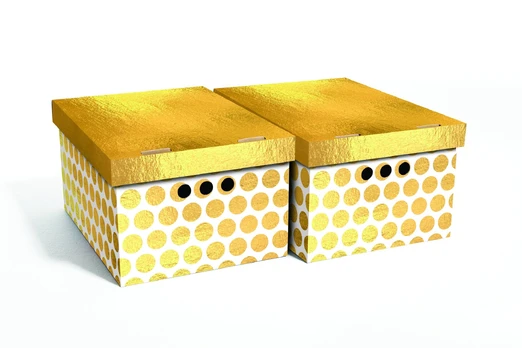 Dėžė Domoletti, 250 mm x 180 mm x 330 mm