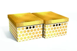 Dėžė Domoletti, 250 mm x 180 mm x 330 mm kaina