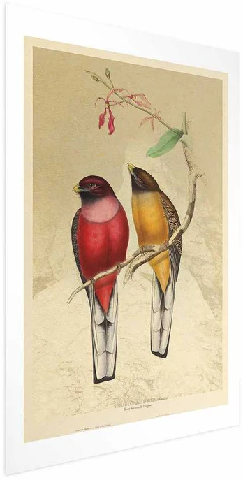 Artgeist Plakatas - Birds on a Branch