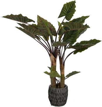 Dirbtinis augalas Kolokazija, 170 cm