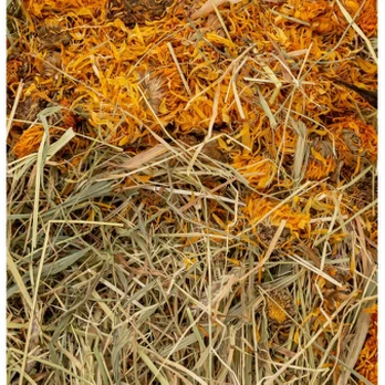 VITAPOL Vita Herbal Medetkų šienas 800g