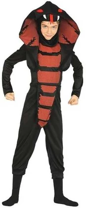 Fiesta Kobra Ninja kostume