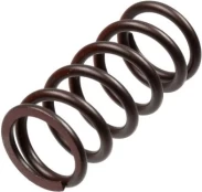 Clutch springs set kaina