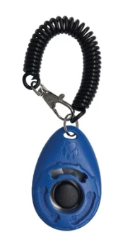 Gyvūnų treniravimo priemonė Record Clicker 17 cm kaina