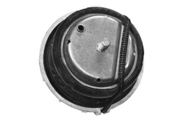 Variklio montavimas TEDGUM TED46098