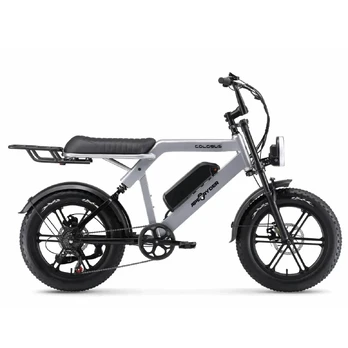 Elektrinis dviratis APE RYDER 20 Colobus pilkas