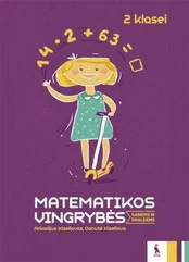 Matematikos vingrybės 2 klasei